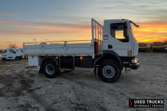 Renault Trucks D
                                          250